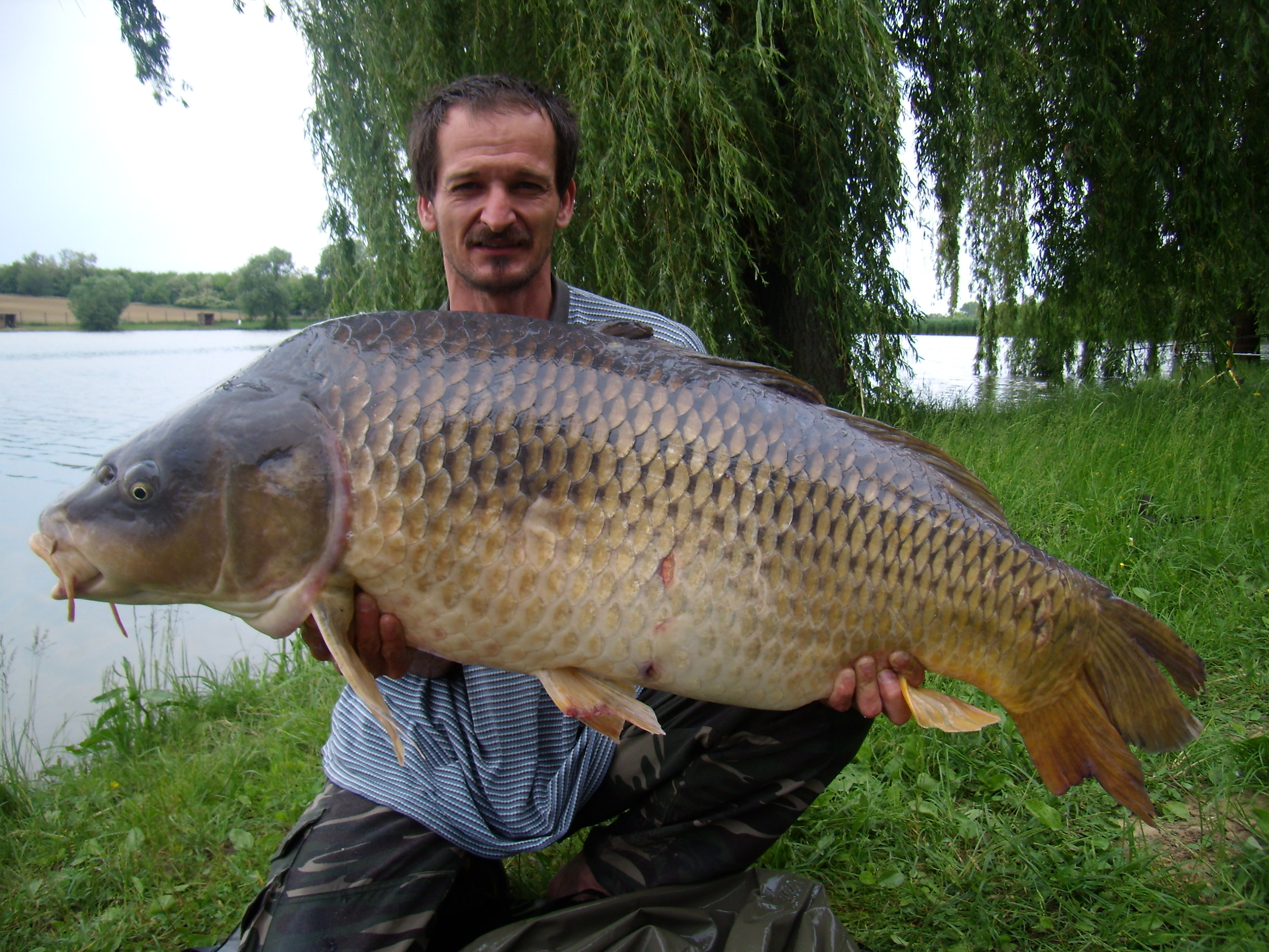 2011.05.21-én 15 órakkor,kapás,15 perc intenzív fárasztás után 28,10kg-os kapitális ponty került a szákba.