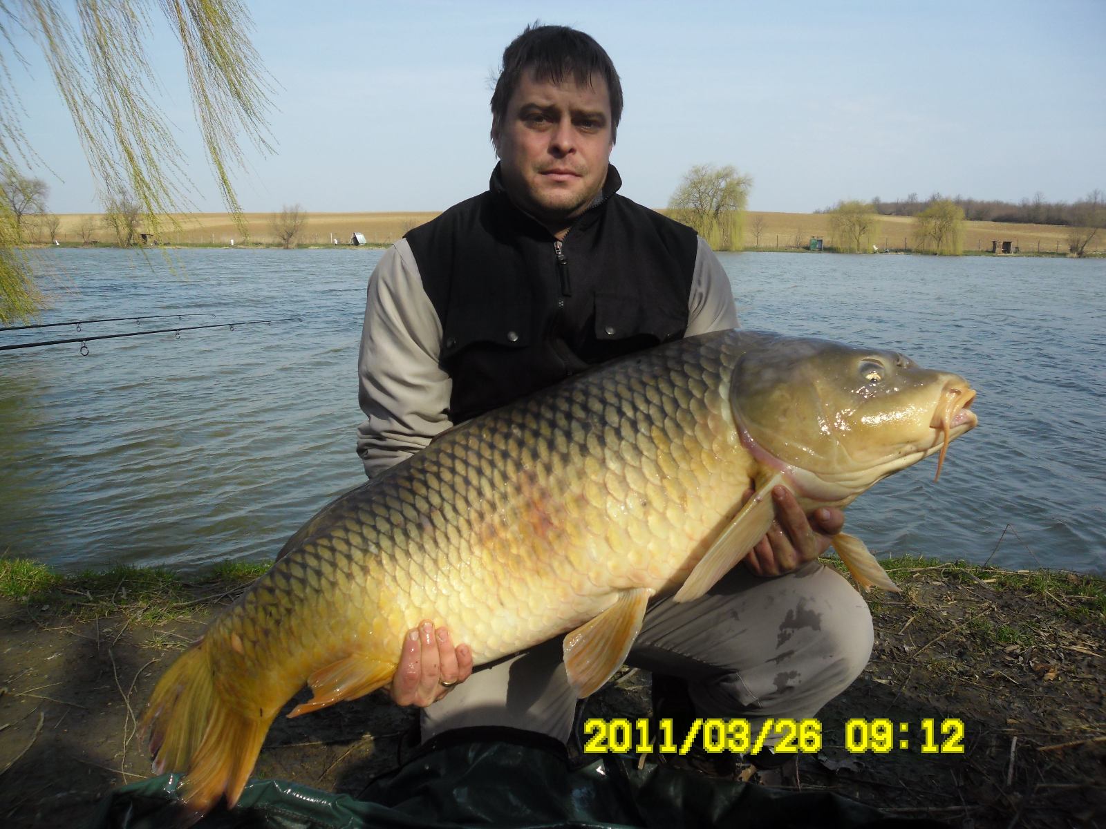 27 kg-al mérlegelt kapitális ponty