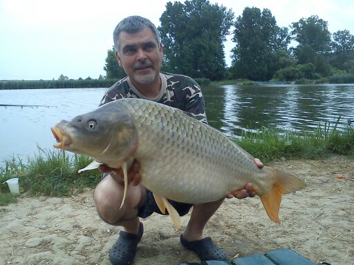 9.5kg