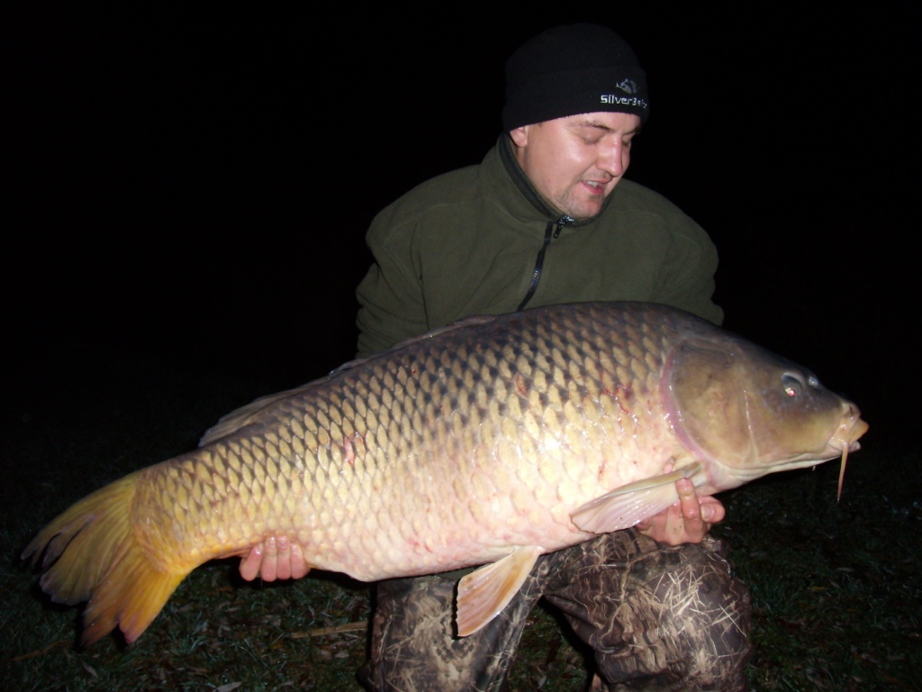 2010.11.07 éjjel 01:30-kor Hergert Roland HE.-tag a Szászvári-tó rekord halát 29,5 kg-os hatalmas pontyot sikeressen a szákba terelte!