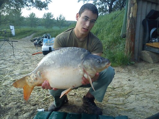 8.5kg