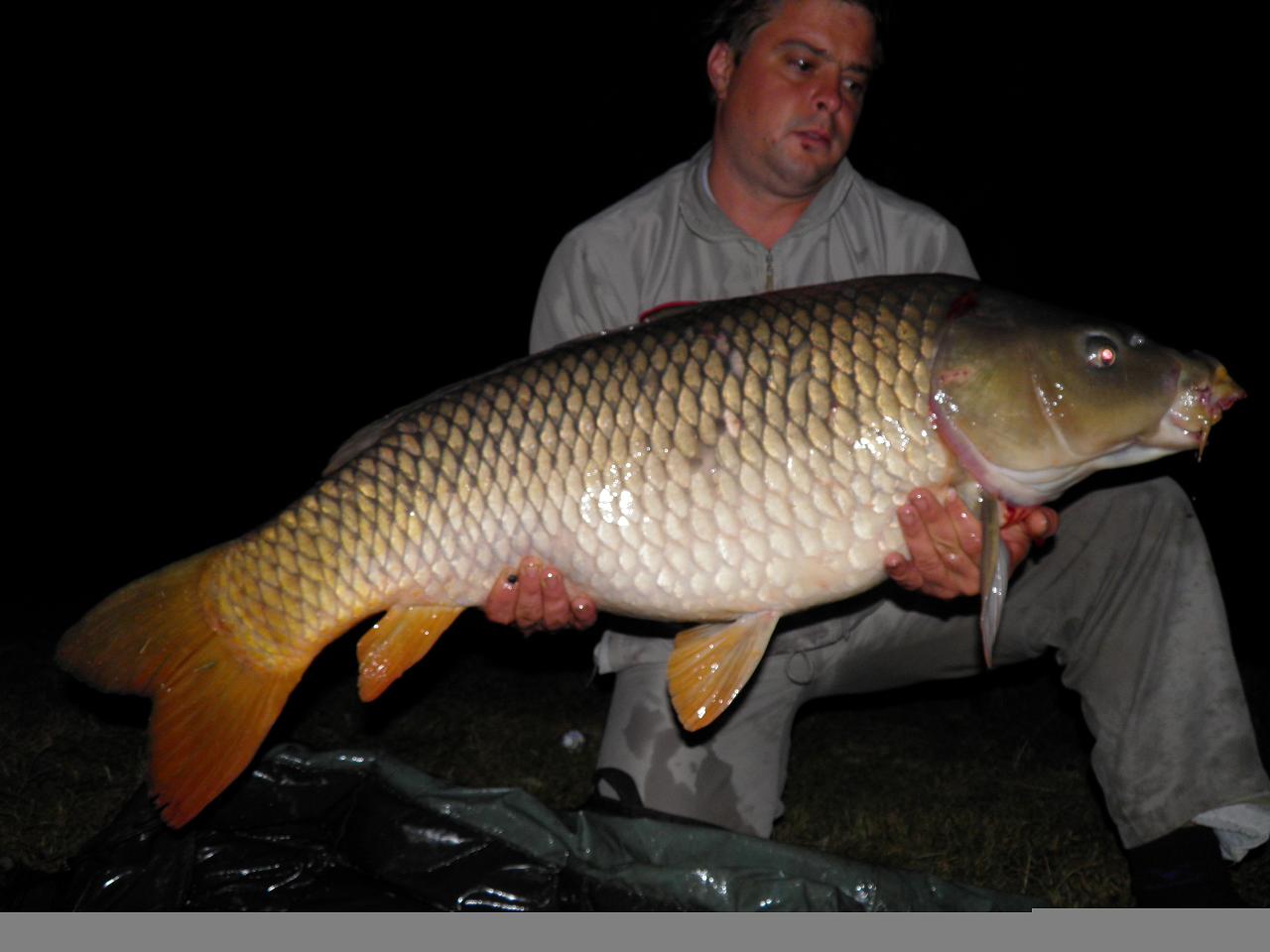 14,8 kg